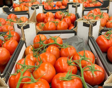 azerbaycana-karton-gonderilmesi