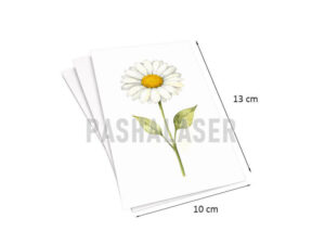 کارت گیفت شمع گل بابونه (بسته 8 عددی) کد 39262